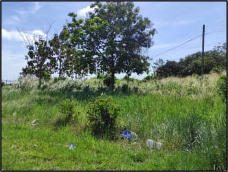Cleared land at Decameron entrance ready for commercial development Panama