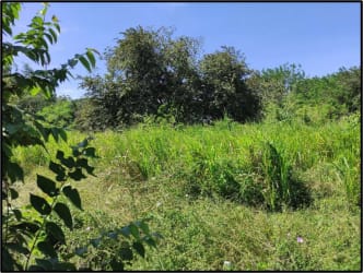 Commercial land beside Panamericana highway close to beaches Panama