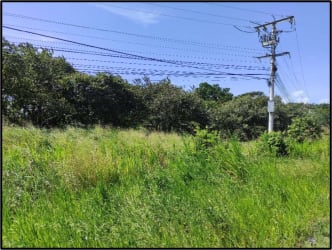 Undeveloped grassy lot by Panamericana highway suitable commercial lot Panama
