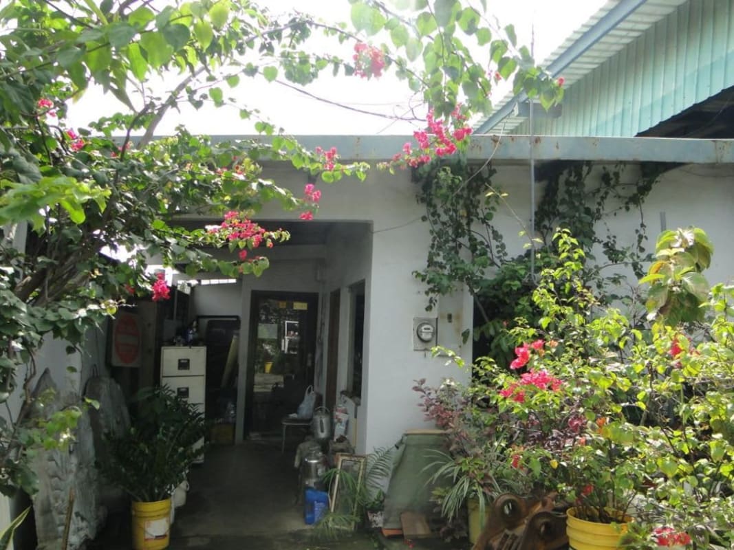 Commercial lot garden and entrance, lush plants with concrete wall for sale Parque Lefevre Panama