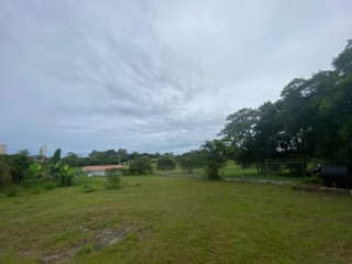 Land for Sale in Chame - 0 bedrooms