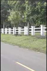 Land for Sale in Punta Barco Viejo - 0 bedrooms