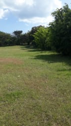 Large flat land with mature trees ready to build Punta Barco Viejo PH Los Solaces Panama