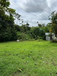 Open green land with dense surrounding trees perfect for development in Arraiján Panama