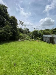 Vacant lot with natural greenery ideal for residential project Nuevo Chorrillo Arraiján Panama