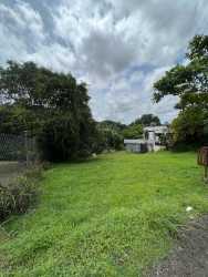 Expansive grassy yard with dense treeline perfect for custom home or development Nuevo Chorrillo Panama