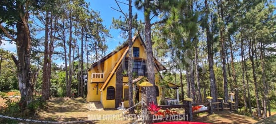 Colorful covered terrace with hammock, blue walls, natural forest views in Altos del Cerro Azul Panama