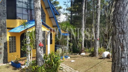 Rustic kitchen with wood cabinetry, tile backsplash, breakfast bar, natural light mountain cabin Cerro Azul