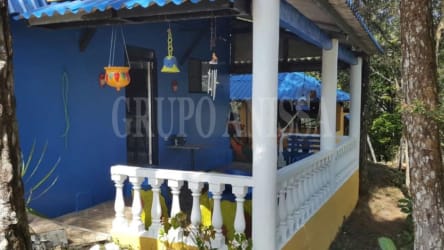 Yellow rustic A-frame cabin exterior with forest background in Altos del Cerro Azul Panama