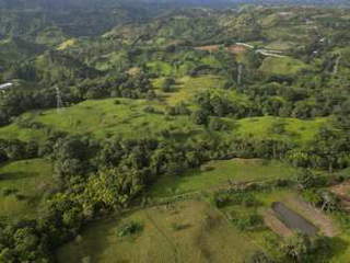 Agricultural Farm / Ranch for Sale in Caisán - 2 bedrooms