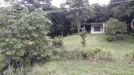 Lush green lot with highway access suitable for investment development Capira Panama