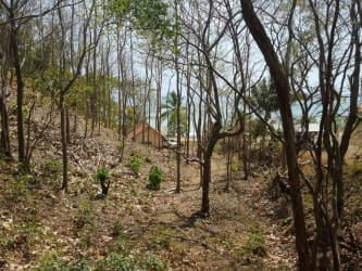 Beachfront lot with ocean views and wooded vegetation in Tonosi Los Santos