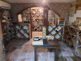 Large Mediterranean garden with gazebo, palms, lawn in luxury golf estate Panama