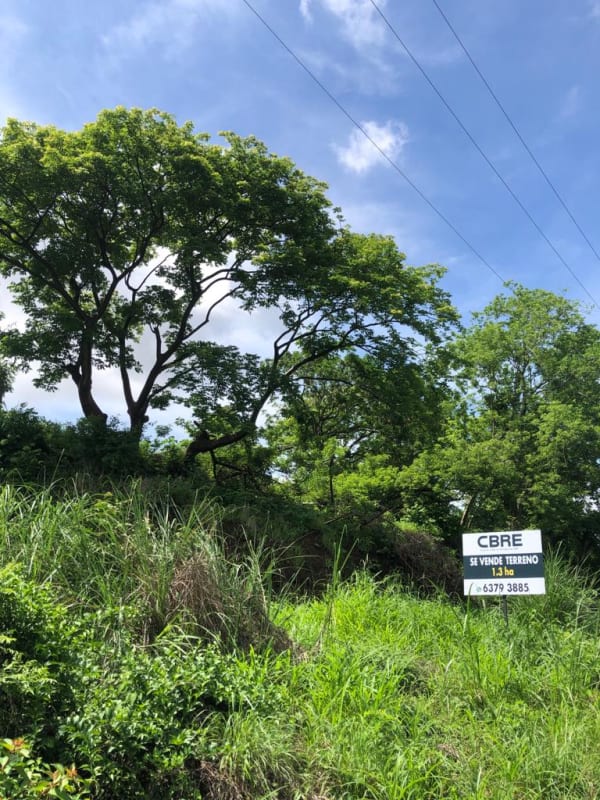 Mature wooded terrain in Cerro Azul mountain gated community Panama