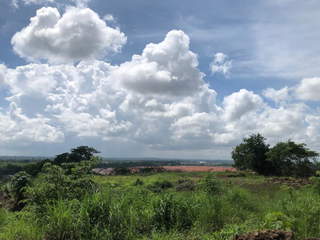 Land for Sale in Pedregal - 0 bedrooms