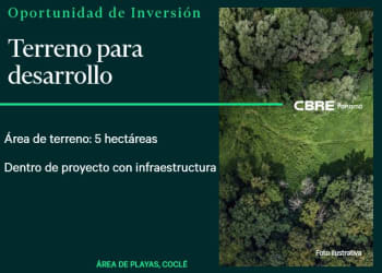 Aerial shot of green wooded beachfront parcel for sale in Anton Coclé Panama