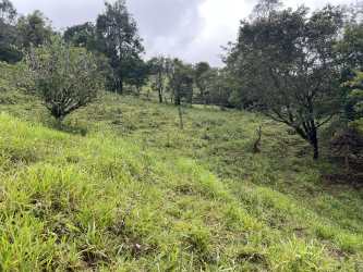 Rolling grassy terrain with trees and panoramic mountain backdrop in Boquete