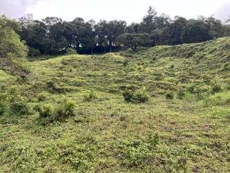 Gently sloped green field and wooded areas Boquete Chiriquí land property investment