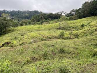 Open grassy land with tree lines surrounded by Boquete mountains ideal eco-resort site
