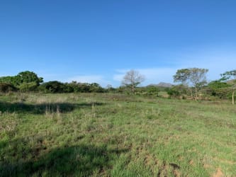 Flat open agricultural land for sale in Natá Coclé Panama suitable for crops and livestock
