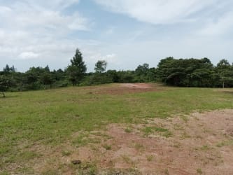 Open countryside parcel with natural vegetation near beaches and mountain towns in Panama