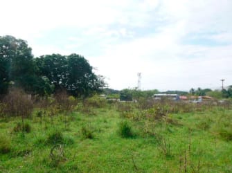 Open grassy commercial land near Panamericana with distant trees Santiago Panama