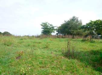 Roadside frontage of 2.4 hectare commercial land with grassy areas near Santiago Mall, Panama