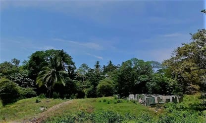 Lush tropical vegetation lot with concrete structures and dirt path Puerto Armuelles Chiriquí Panama