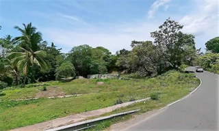 Land for Sale in Barú - 0 bedrooms