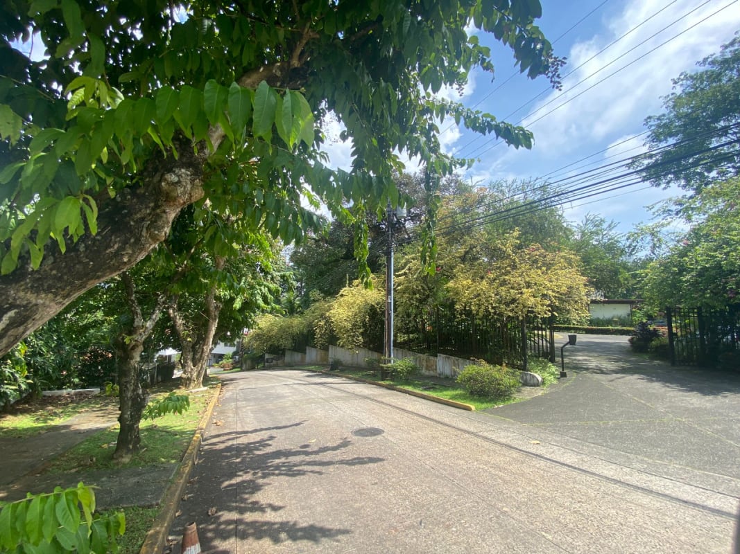 Tree-lined sidewalk with residential entrance near Nestlé facing development property La Loma Pedregal Panama