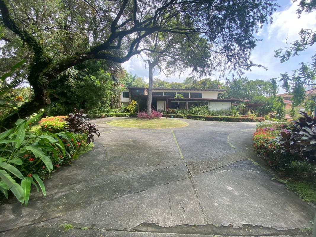 Residential street frontage with mature greenery and fencing at development site in La Loma Pedregal Panama City