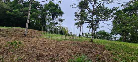 Cleared hillside lot with layered forest view in Rioca Altos del María