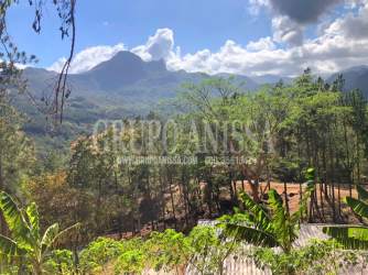 Functional bathroom with shower, toilet and vanity mountain cabin Altos del María Panama
