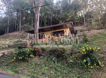 Rustic cabin on hillside surrounded by tropical forest at Altos del María Panama