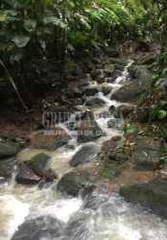 Land for Sale in Altos del María - 0 bedrooms