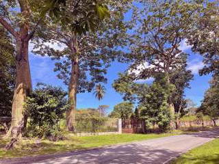 Lot / Land for Sale in Chame - 0 bedrooms