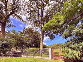 Green lawn corner lot shaded by Panama Trees ready for development near Coronado Panama