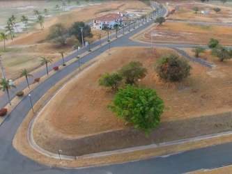 Aerial curved road lined with palm trees residential plots Vista Mar Panama
