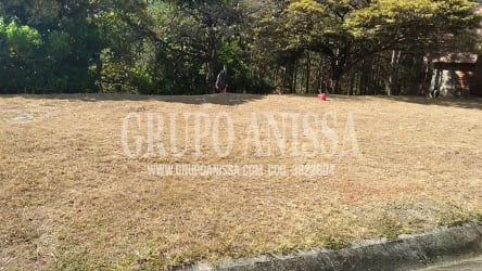 Vacant mountain lot surrounded by forest and road in Altos del María community Panama