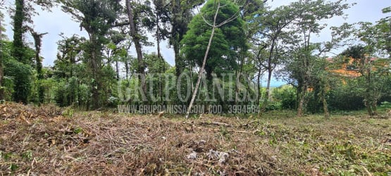 Vacant land forest lot surrounded by lush greenery in Altos del María La Rioca