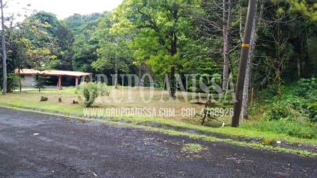 Mountain countryside with small house, forest backdrop by Altos del María Panama