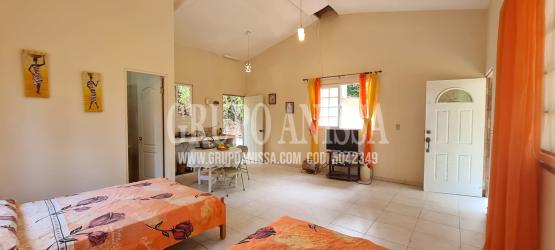 Mountain studio cabin open plan with large windows in Altos del María Panama