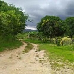 River flowing through lush green landscape with forest on hillside Penonomé Panama