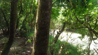 Land for Sale in La Pintada - 0 bedrooms