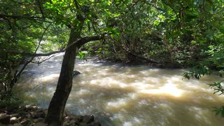 Water flowing over rocks in natural forested river area Penonomé Coclé Panama