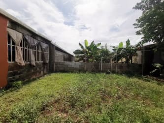 Fenced backyard with banana plants and green lawn in house for sale in Arraiján Panama