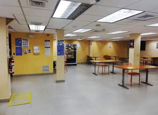 Commercial Office for Rent in Hato Pintado - 0 bedrooms