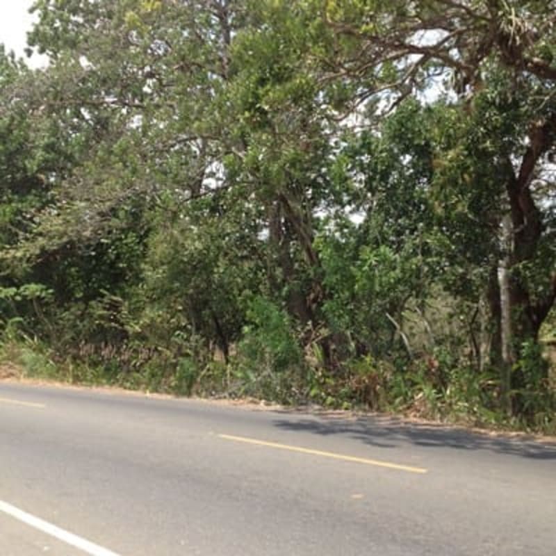 Roadside view showing access road, vegetation, and utilities near land parcel in Pacora Panama