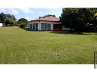 Large tropical garden with mature fruit trees surrounding Coronado beach villa