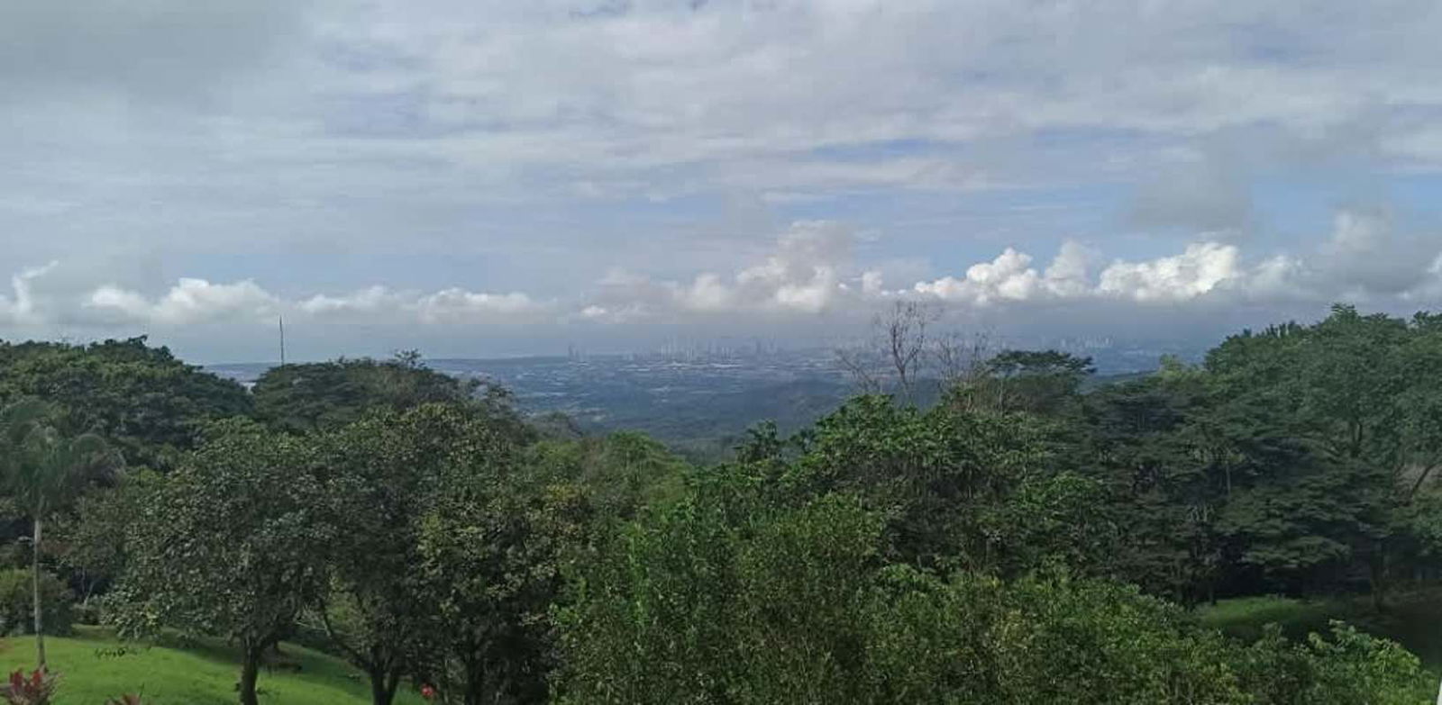 Beautiful mature garden with flowering plants and mountain backdrop in private Cerro Azul estate Panama